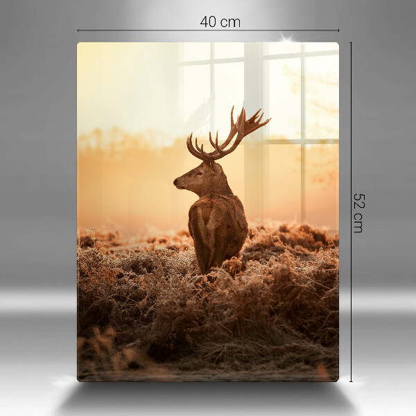 Steklena podloga za rezanje Jeleni na polju