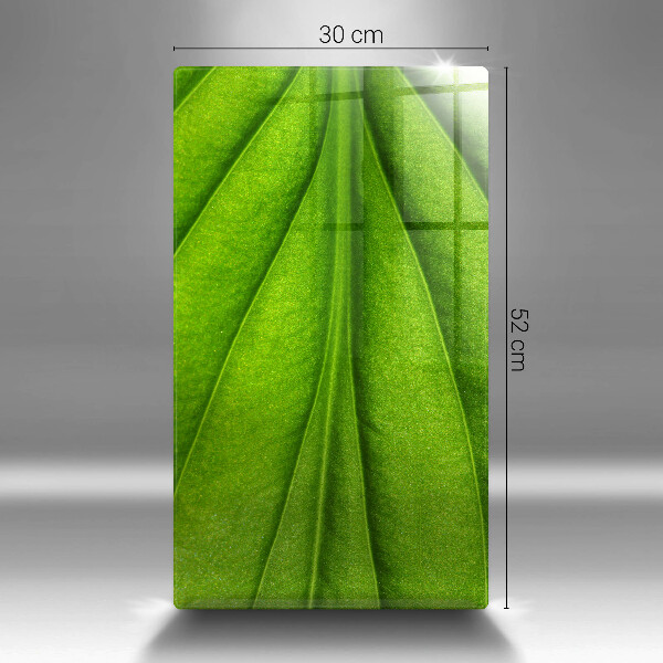 Steklena podloga za rezanje Naravni žilni list