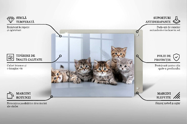 Steklena podloga za rezanje Sladki mali mucki