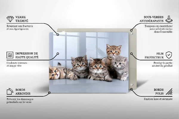 Steklena podloga za rezanje Sladki mali mucki