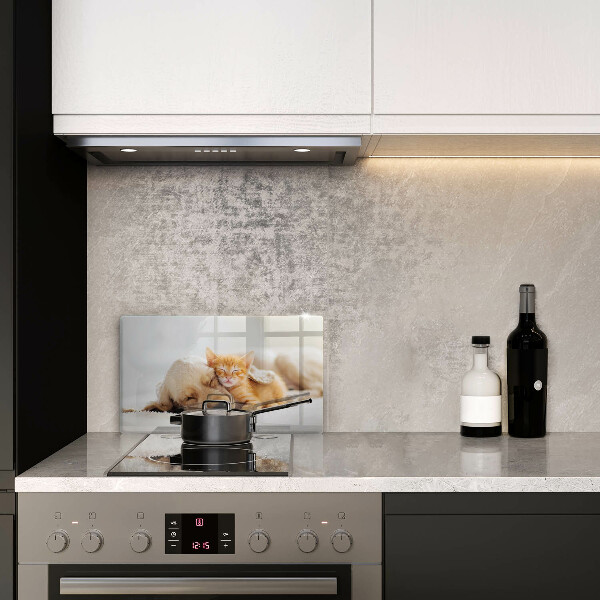 Steklena podloga za rezanje Živali pes in mačka