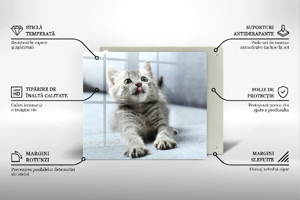 Steklena podloga za rezanje Majhna ljubka mucka