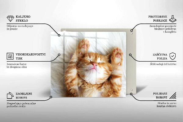 Steklena podloga za rezanje Majhna ljubka mucka