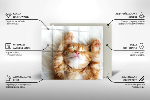 Steklena podloga za rezanje Majhna ljubka mucka