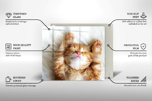 Steklena podloga za rezanje Majhna ljubka mucka