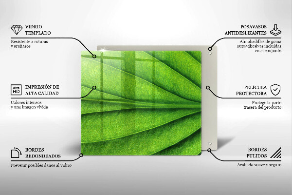 Steklena podloga za rezanje Naravni žilni list