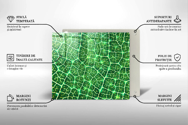 Steklena podloga za rezanje Struktura listov
