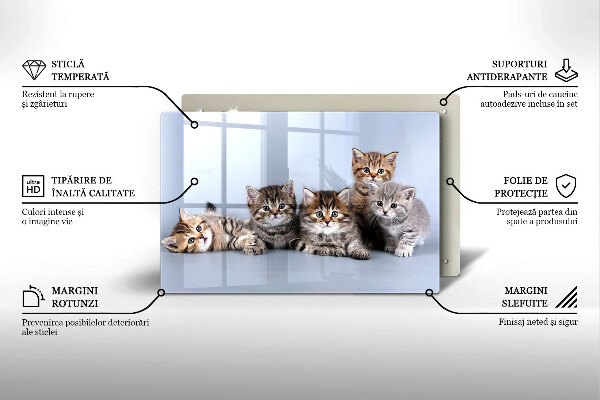 Steklena podloga za rezanje Sladki mali mucki
