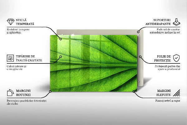 Steklena podloga za rezanje Naravni žilni list