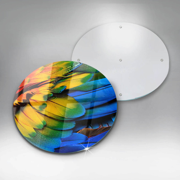 Steklena podloga za rezanje Pisano perje papige