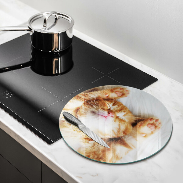 Steklena podloga za rezanje Majhna ljubka mucka