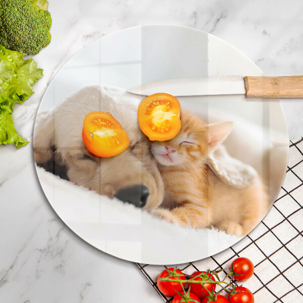 Steklena podloga za rezanje Živali pes in mačka