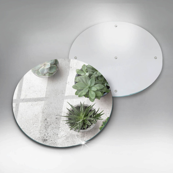Steklena podloga za rezanje Sukulente na betonu