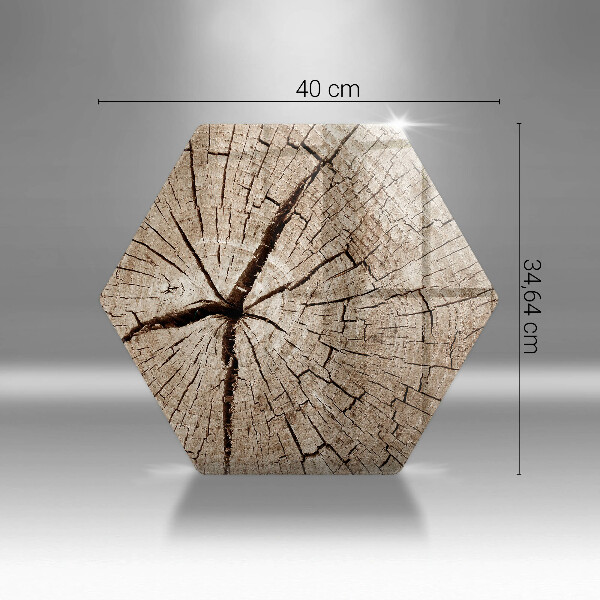 Steklena podloga za rezanje Prerez drevesa