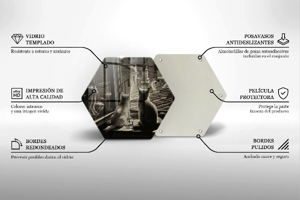 Steklena podloga za rezanje Mačje mesto in okno