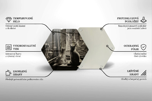 Steklena podloga za rezanje Mačje mesto in okno