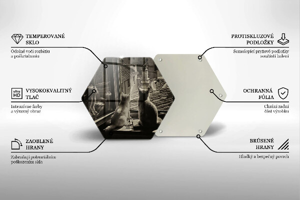 Steklena podloga za rezanje Mačje mesto in okno