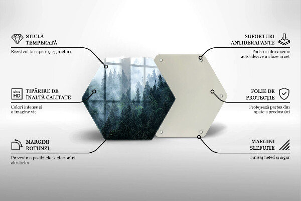 Steklena podloga za rezanje Gozdno drevje in megla