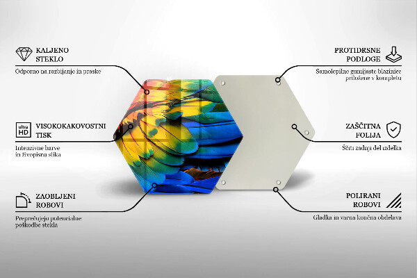 Steklena podloga za rezanje Pisano perje papige