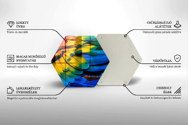 Steklena podloga za rezanje Pisano perje papige