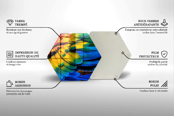 Steklena podloga za rezanje Pisano perje papige