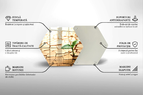 Steklena podloga za rezanje Osamljena rastlina