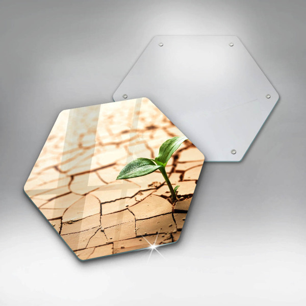 Steklena podloga za rezanje Osamljena rastlina