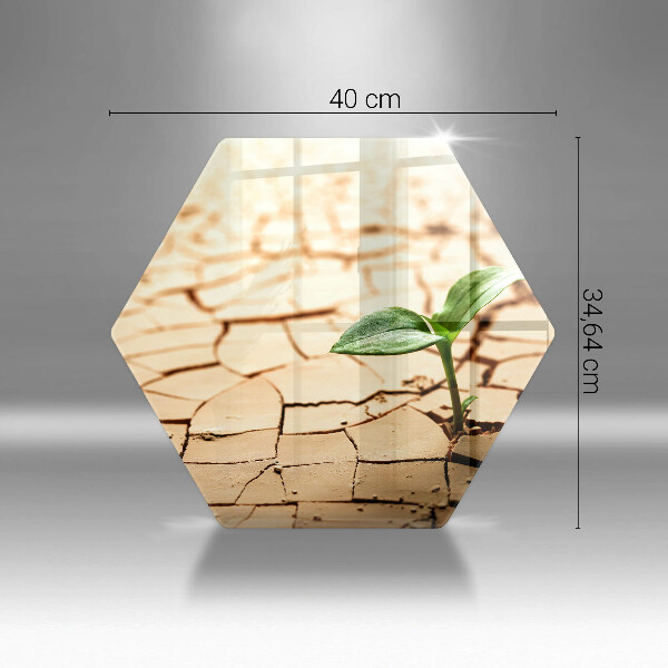 Steklena podloga za rezanje Osamljena rastlina