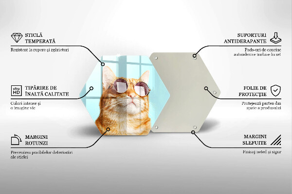 Steklena podloga za rezanje Rdeča mačka z očali