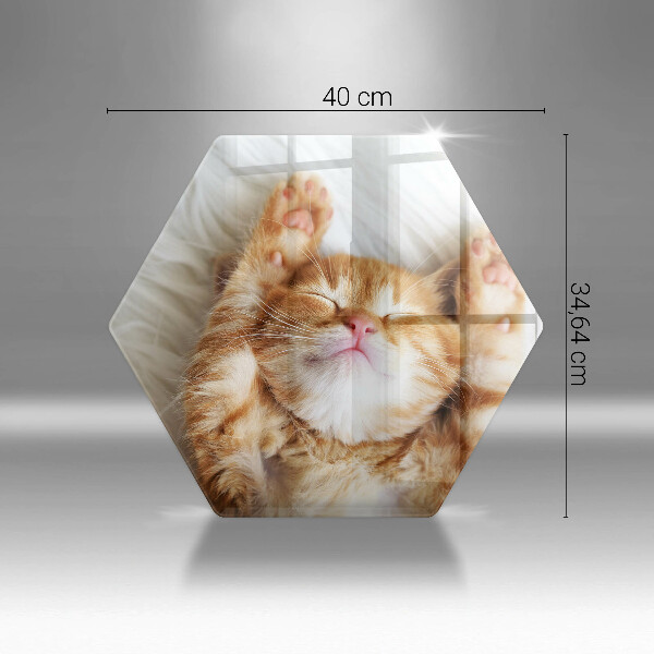 Steklena podloga za rezanje Majhna ljubka mucka