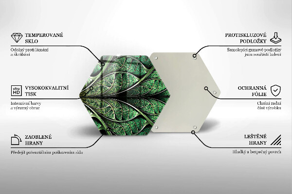 Steklena podloga za rezanje Zgradba listnih žil