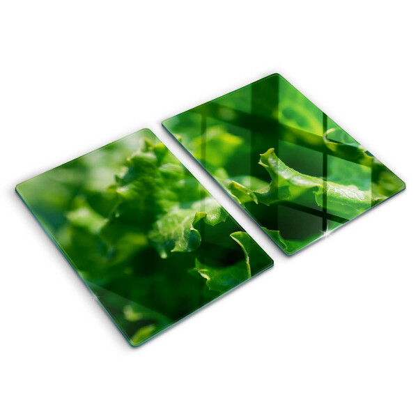 Zaščitna plošča za štedilnik Solatni listi