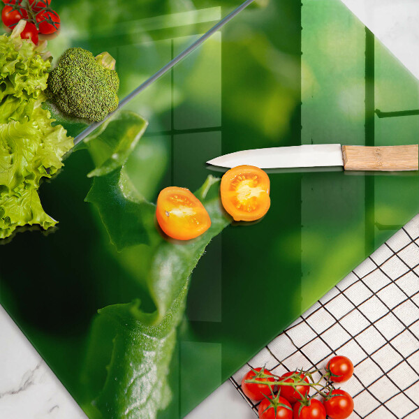 Zaščitna plošča za štedilnik Solatni listi