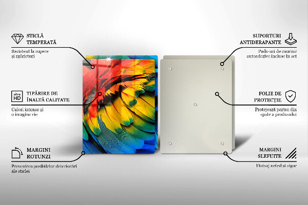 Zaščitna plošča za štedilnik Pisano perje papige