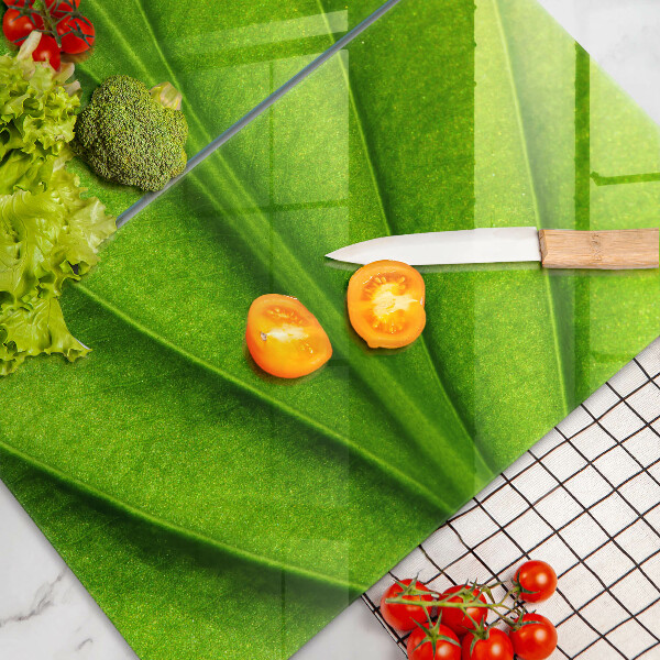 Zaščitna plošča za štedilnik Naravni žilni list