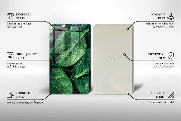 Zaščitna plošča za štedilnik Listi bazilike