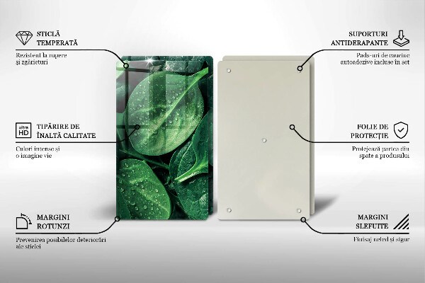 Zaščitna plošča za štedilnik Listi bazilike