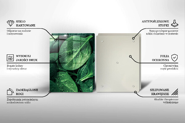 Zaščitna plošča za štedilnik Listi bazilike