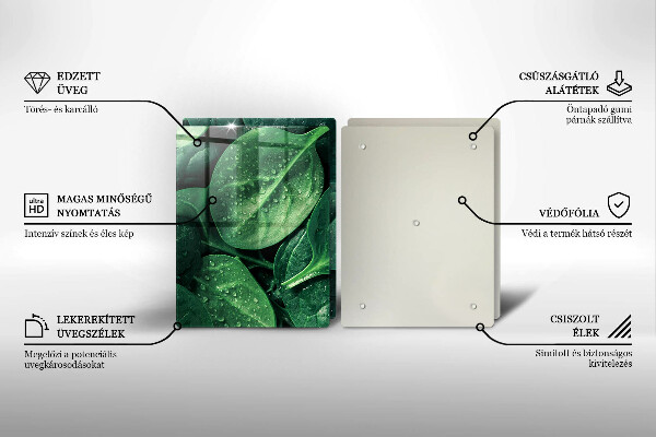 Zaščitna plošča za štedilnik Listi bazilike