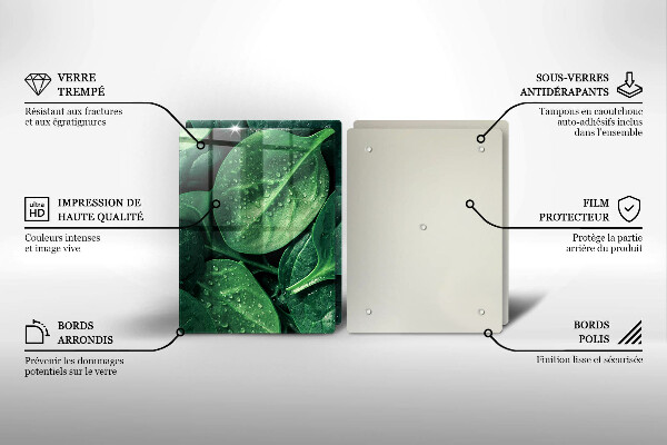 Zaščitna plošča za štedilnik Listi bazilike