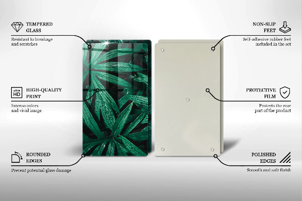 Zaščitna plošča za štedilnik Listi rastlin