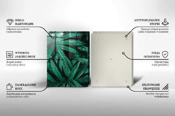 Zaščitna plošča za štedilnik Listi rastlin