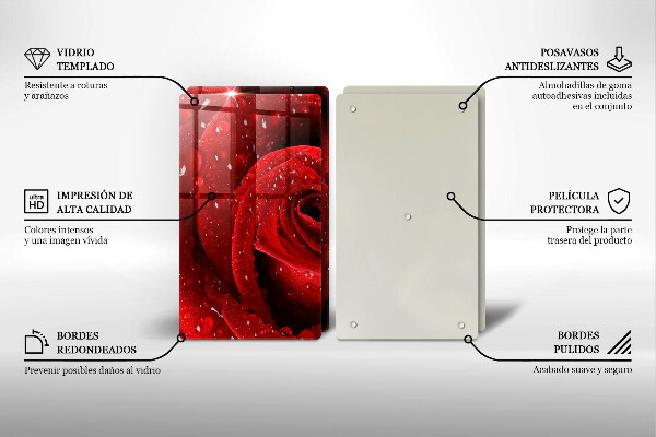 Stenska zaščitna plošča za štedilnik Cvetni listi vrtnice