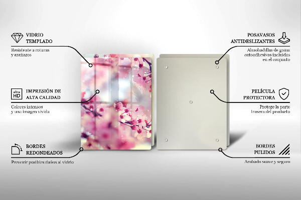 Zaščitna plošča za štedilnik Narava jablanovih cvetov