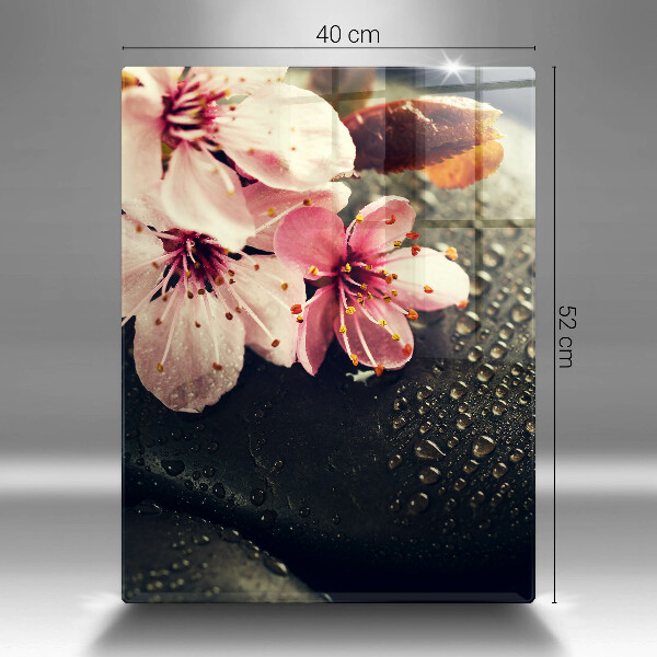 Zaščitna steklena plošča za štedilnik Rože zen kamni