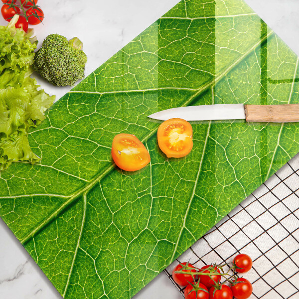 Zaščitna steklena plošča za štedilnik Naravne listne žile