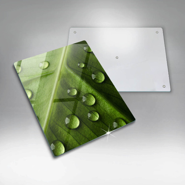 Zaščitna plošča za štedilnik Narava rosa in list