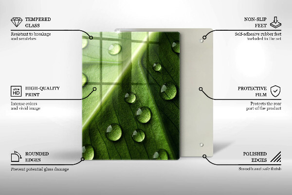 Zaščitna plošča za štedilnik Narava rosa in list