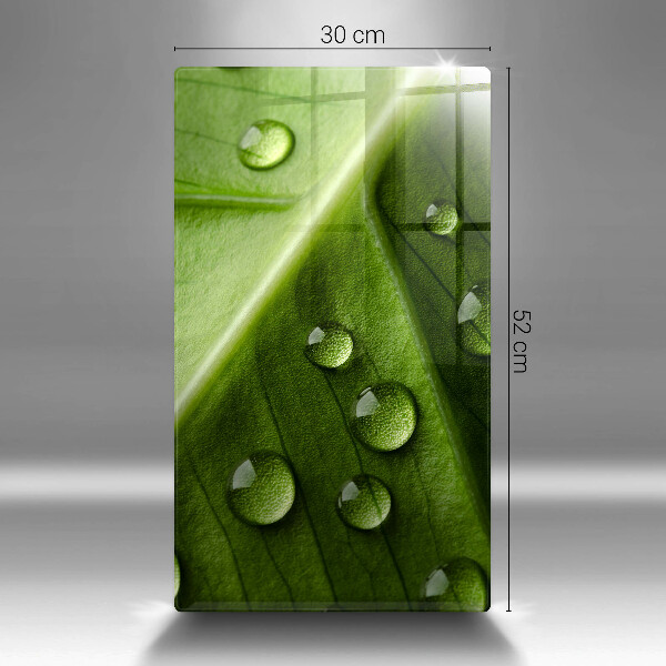 Zaščitna plošča za štedilnik Narava rosa in list