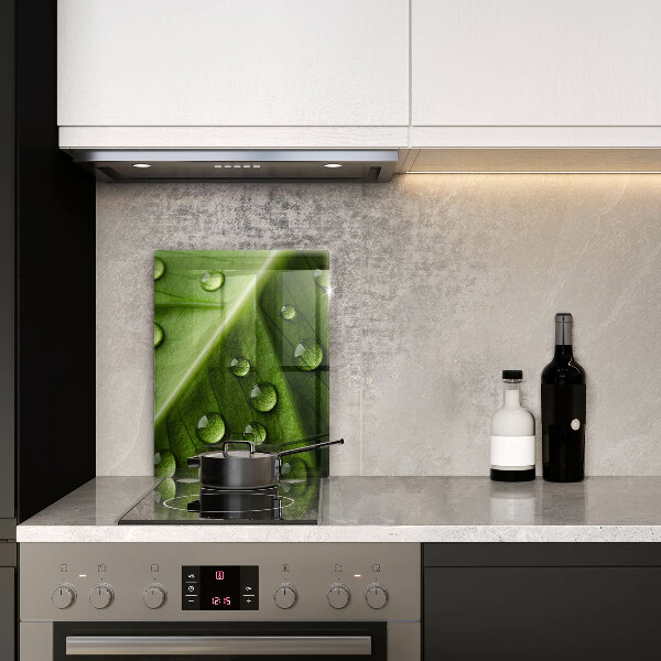 Zaščitna plošča za štedilnik Narava rosa in list